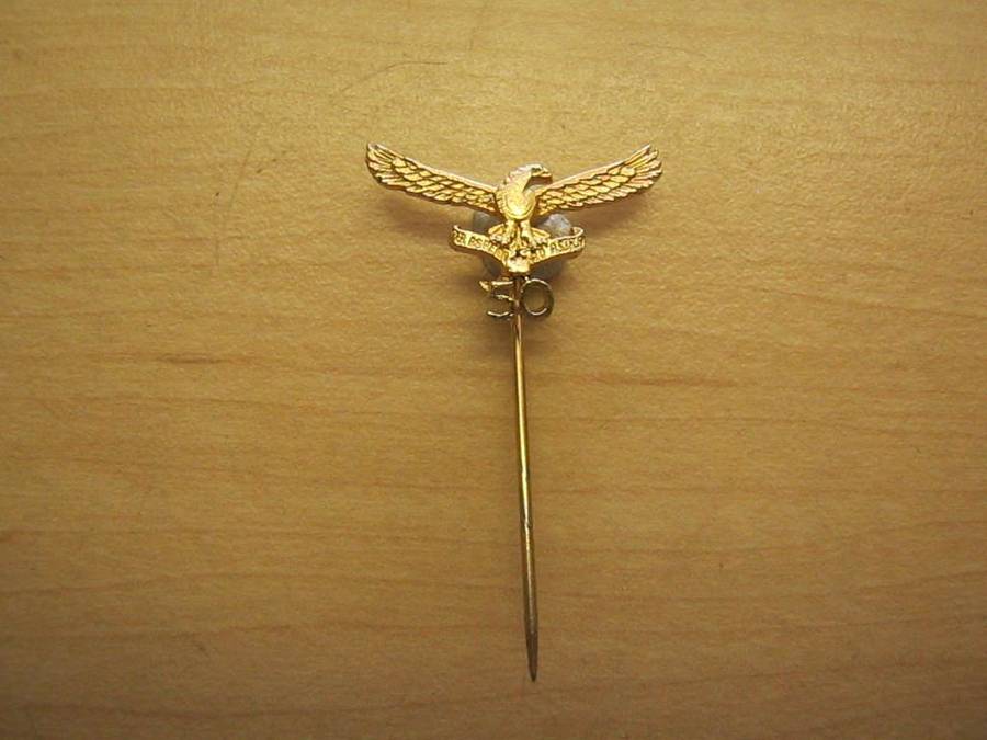 SAAF 50th anniversary pin badge.